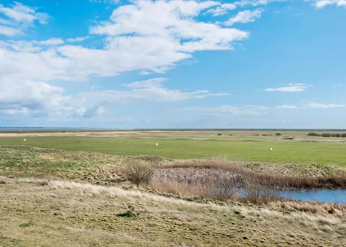 1170-romo-gulirisvej-170 *